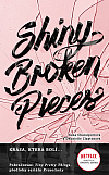 Shiny Broken Pieces